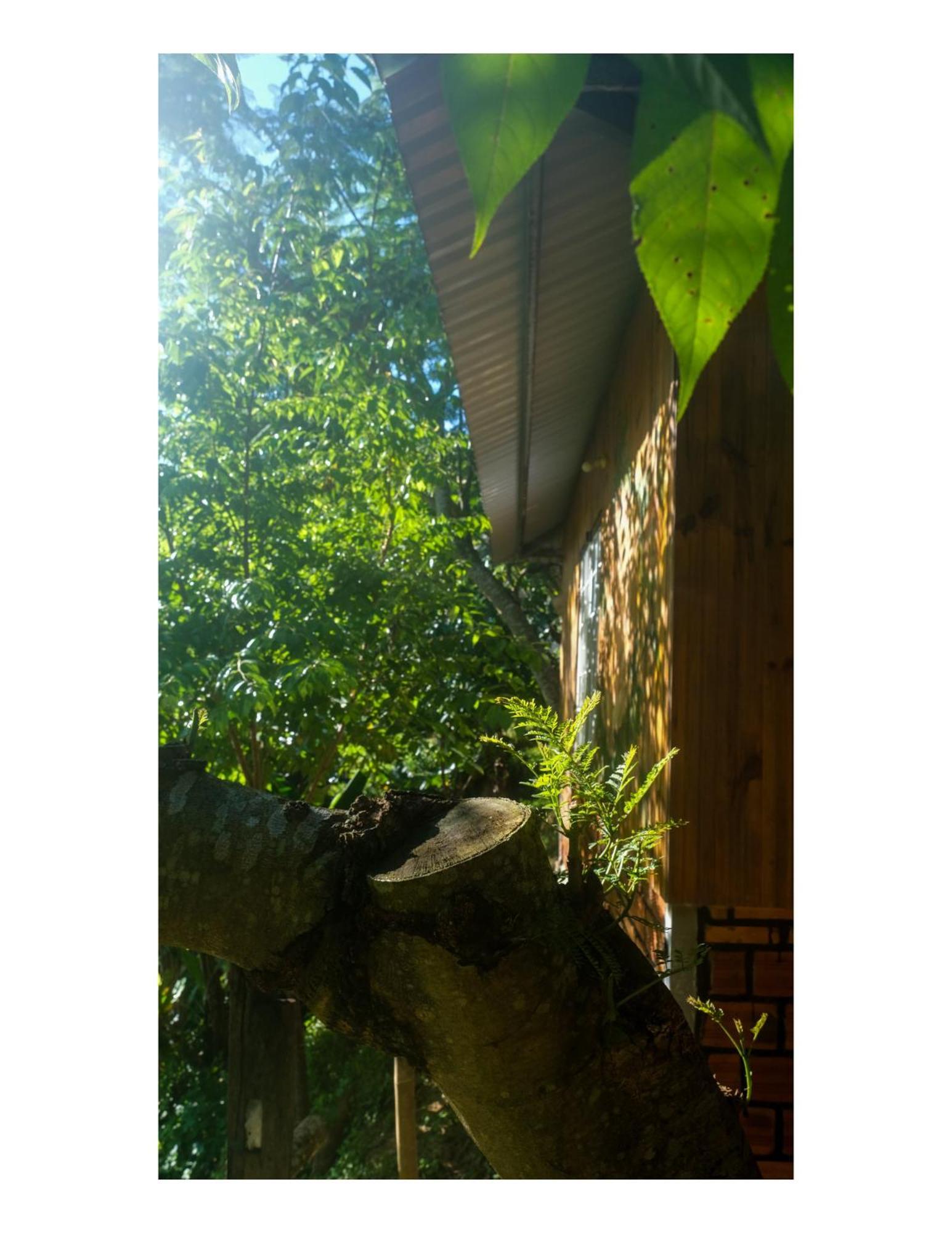 Nha Ben Ho - Da Lat Homestay Eksteriør bilde