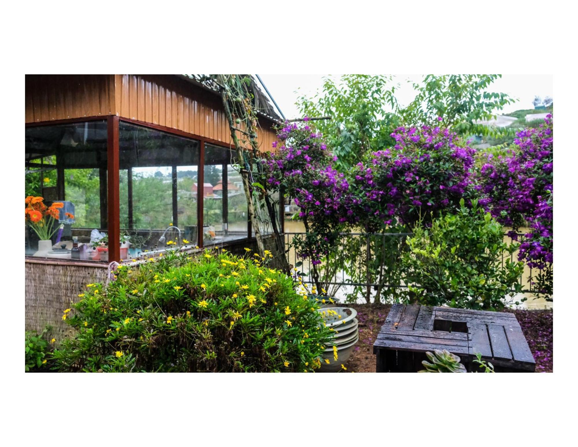 Nha Ben Ho - Da Lat Homestay Eksteriør bilde