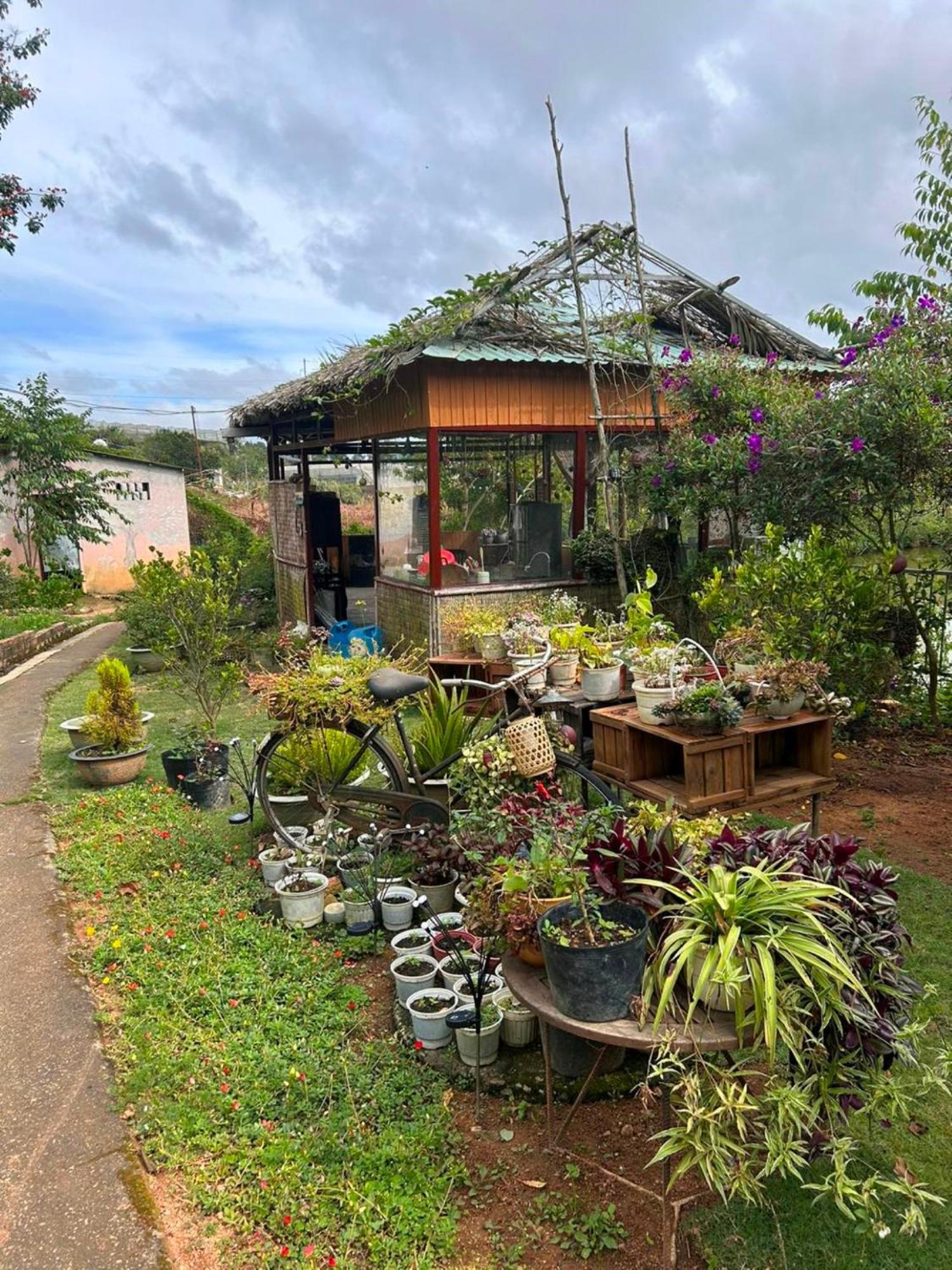 Nha Ben Ho - Da Lat Homestay Eksteriør bilde