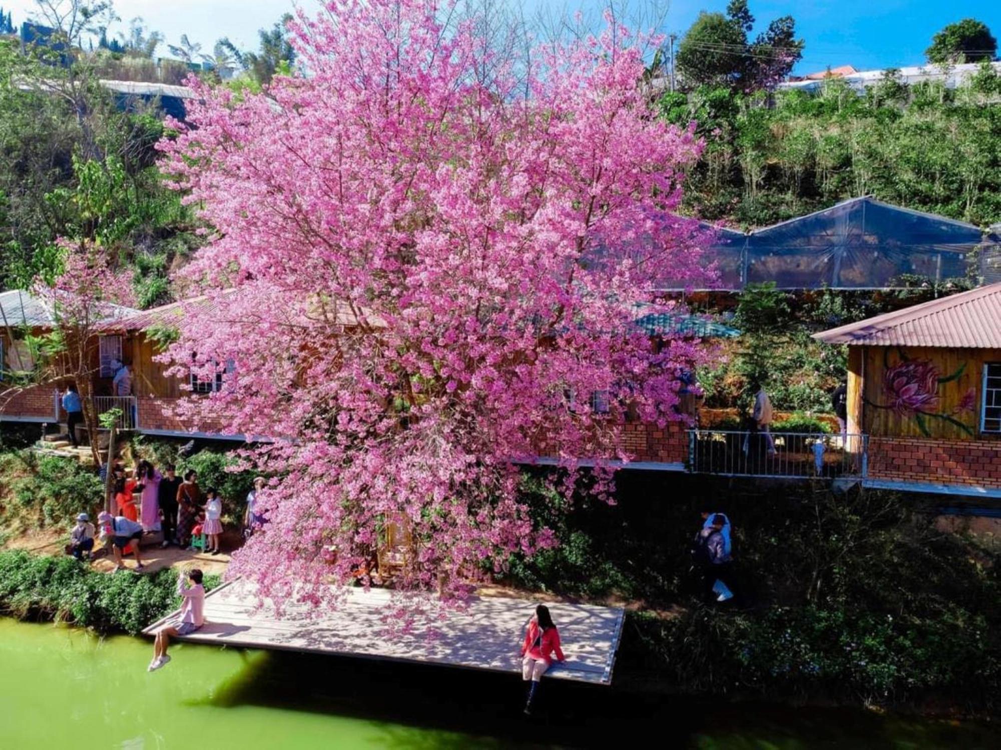 Nha Ben Ho - Da Lat Homestay Eksteriør bilde