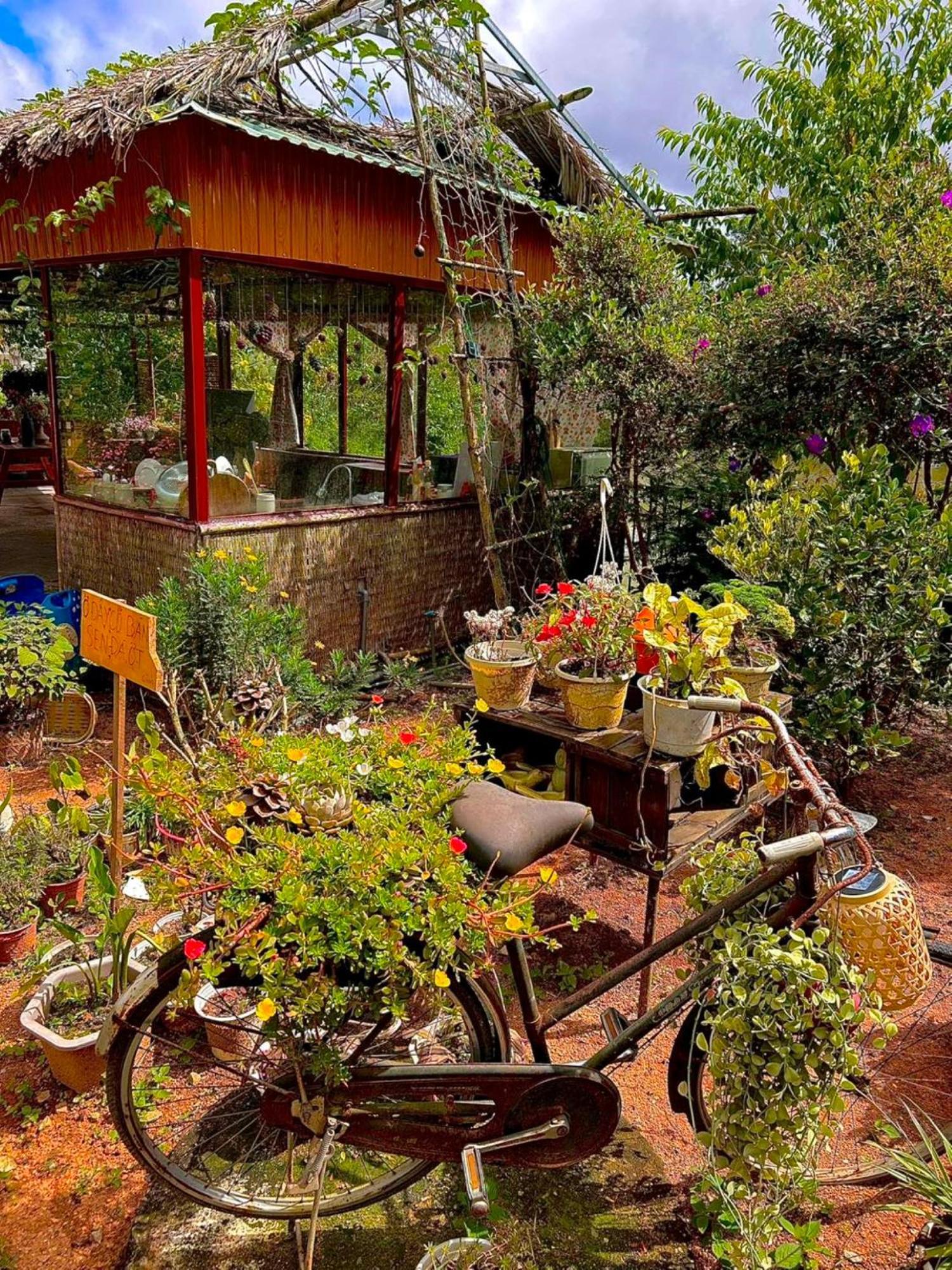 Nha Ben Ho - Da Lat Homestay Eksteriør bilde