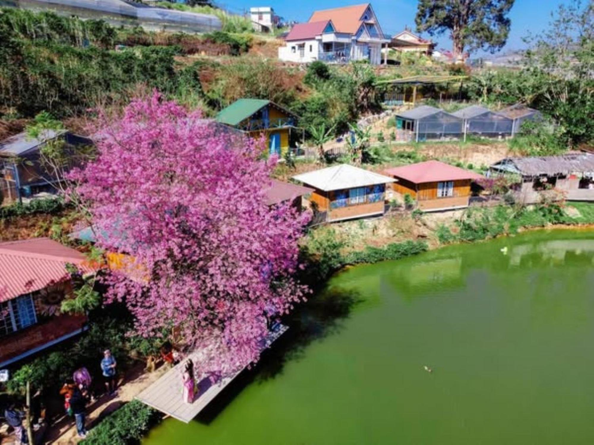 Nha Ben Ho - Da Lat Homestay Eksteriør bilde