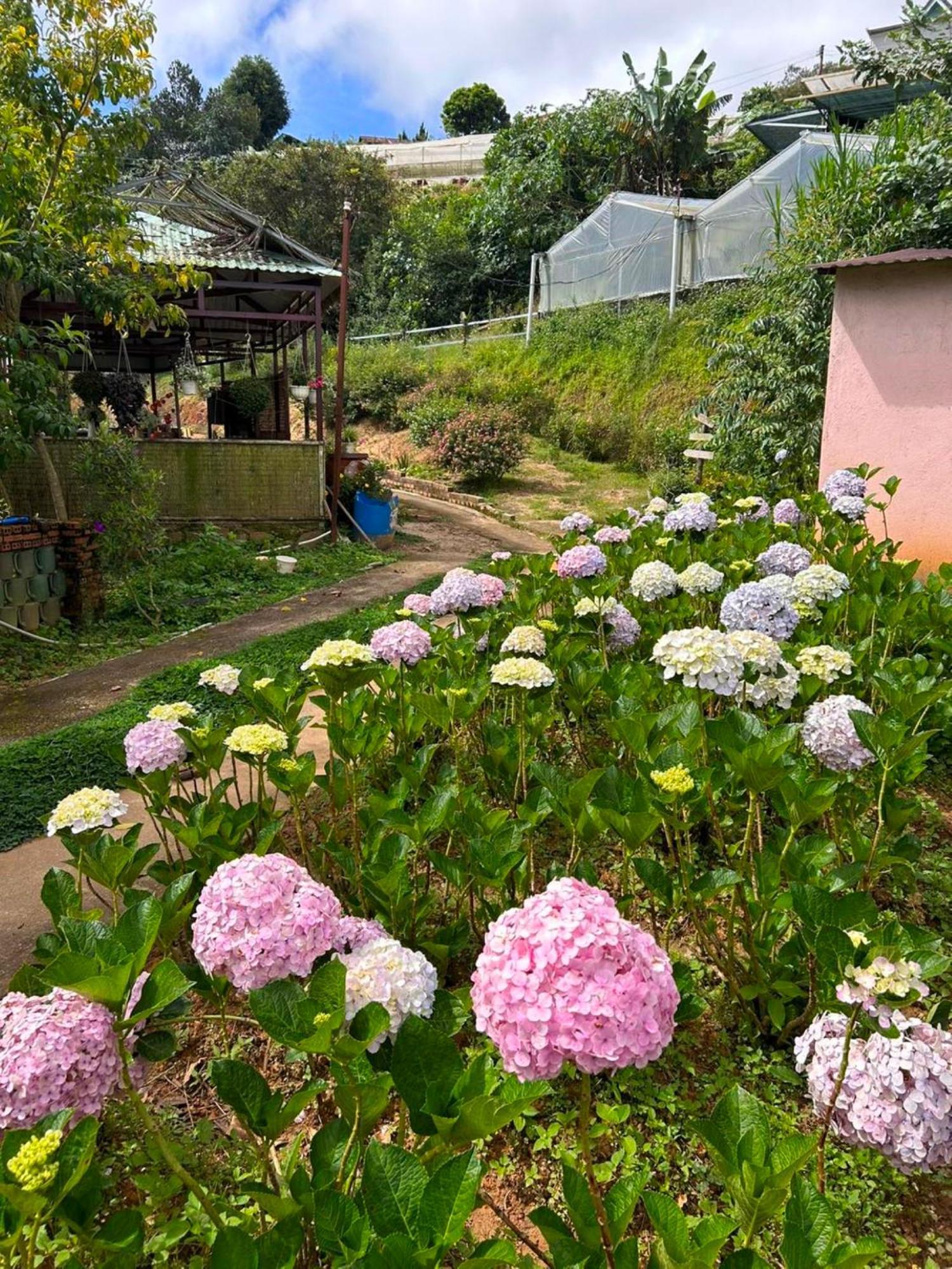 Nha Ben Ho - Da Lat Homestay Eksteriør bilde