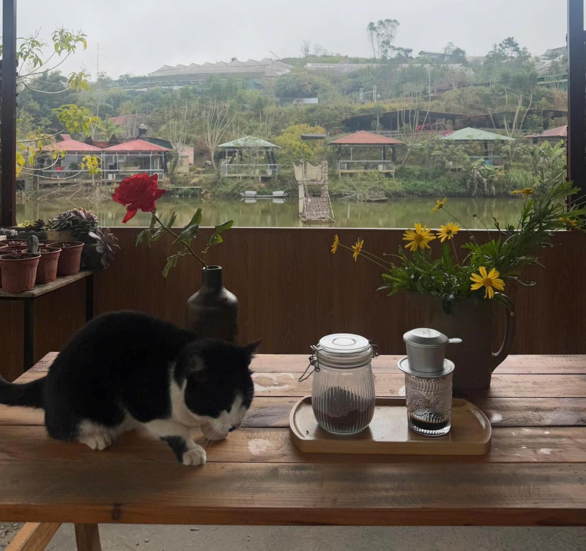 Nha Ben Ho - Da Lat Homestay Eksteriør bilde