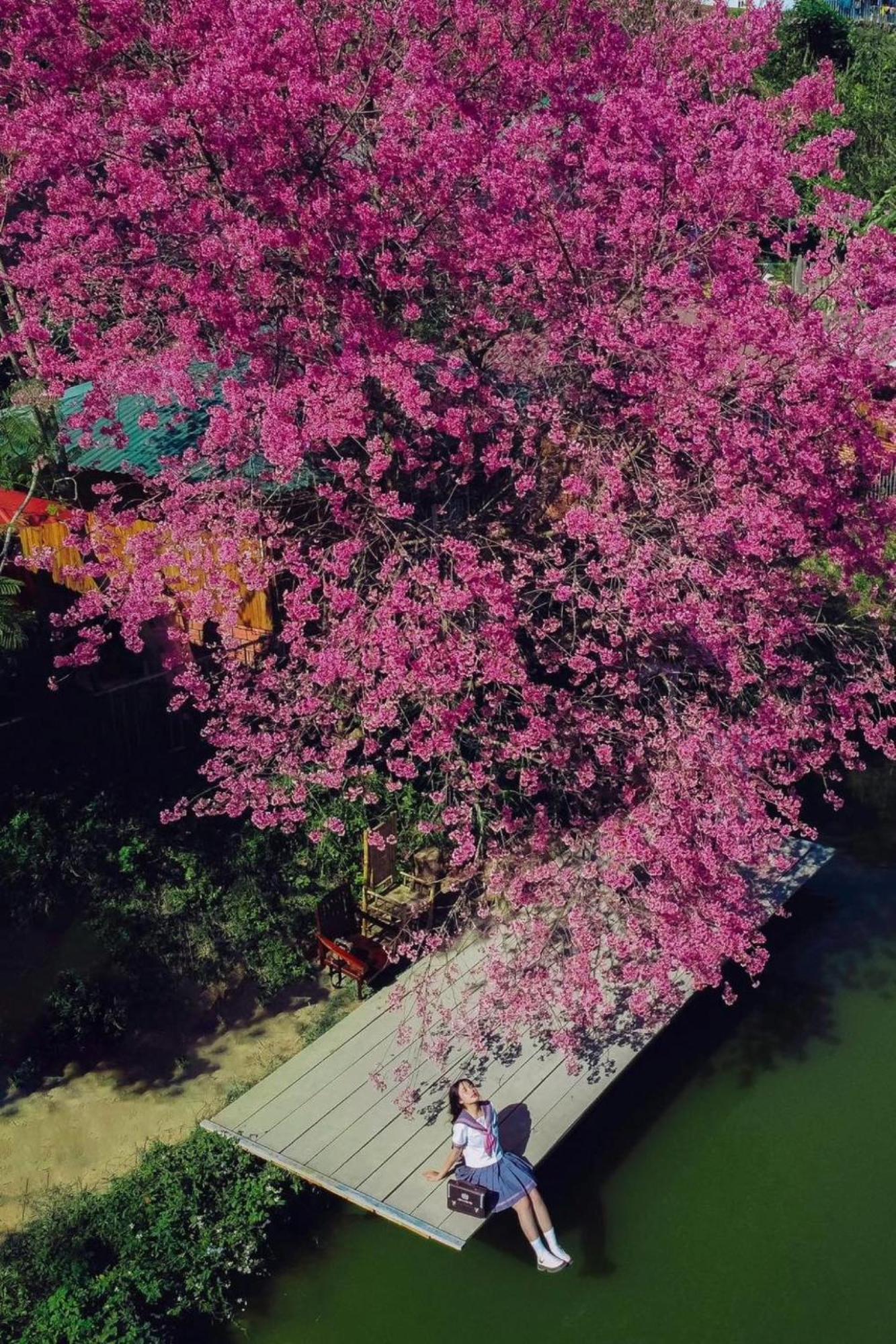 Nha Ben Ho - Da Lat Homestay Eksteriør bilde