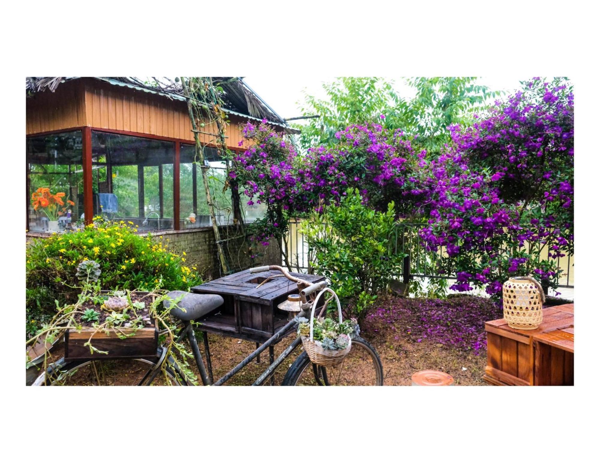 Nha Ben Ho - Da Lat Homestay Eksteriør bilde